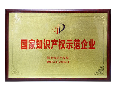 國(guó)家知識(shí)產(chǎn)權(quán)示范企業(yè)